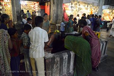 Meenakshi Temple, Madurai,_DSC_7973_H600